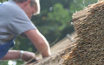 professional Wooth thatchers