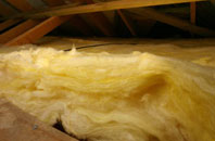 Wooth pitch roof insulation